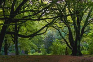 sixty seconds solitude